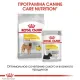 Royal Canin Medium Dermacomfort, 3 кг