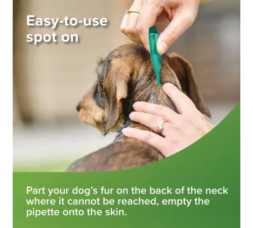Beaphar VETOpure Spot-On Small Dog, 1 пипетка