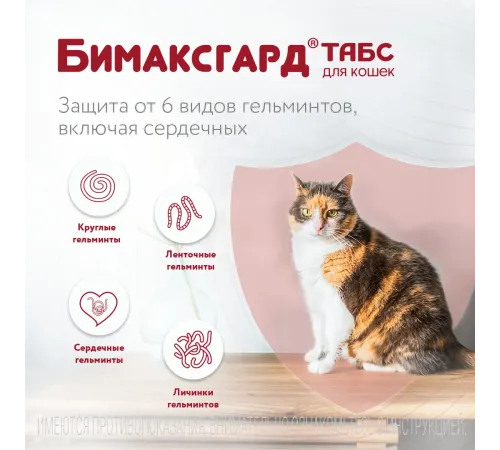 Бимаксгард ТАБС для котят и маленьких кошек, 1 таб
