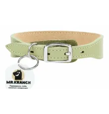 Mr.Kranch Ошейник кожаный с QR-адресником, нежно-зеленый, 20-24 см