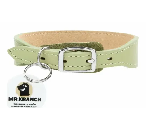 Mr.Kranch Ошейник кожаный с QR-адресником, нежно-зеленый, 20-24 см