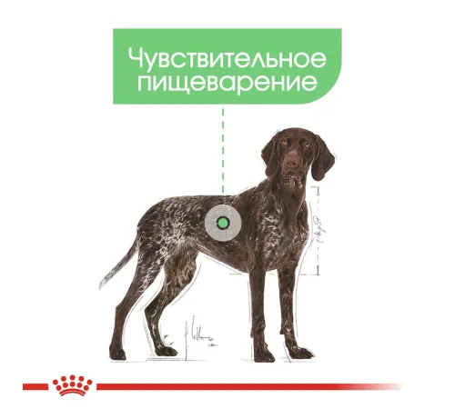 Royal Canin Maxi Digestive Care, 3 кг