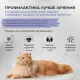 Брит Кеа Cat Anti-Hairball (Белая рыба, индейка), 400 г 