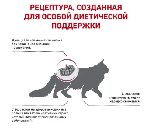 Royal Canin Early Renal Cat 400 г