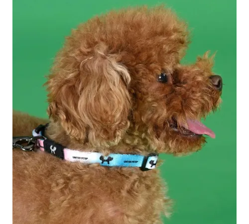 United Pets Ошейник Complete me, розово-голубой тай-дай, XS 10 x 180/300 мм