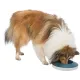 Trixie Миска для собак Rocking Bowl, 0,5 л/ø 23 см