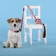 United Pets Поводок Complete me Forever, оранжевый с рисунком, 20 мм, 140 см