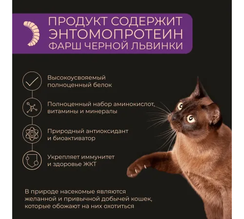 Yumster Kitten Паштет (Ягненок), 100 г