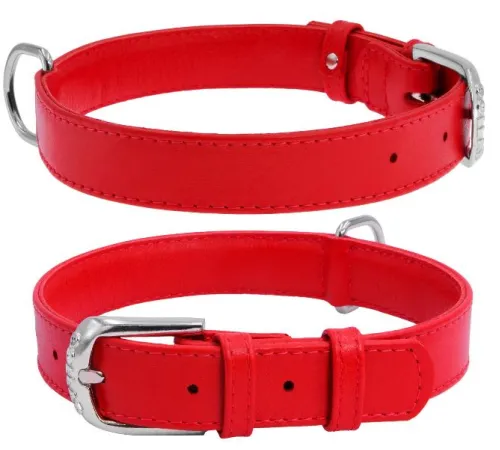 Collar Ошейник 