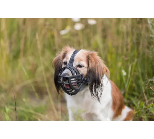 Trixie Намордник Muzzle Flex, S, 20 см