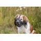 Trixie Намордник Muzzle Flex, S, 20 см