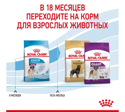 Royal Canin Giant Junior, 3,5 кг