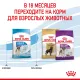 Royal Canin Giant Junior, 3,5 кг