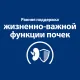 Hill's Prescription Diet k/d Early Stage для кошек, 3 кг