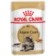 Royal Canin Maine Coon Adult (соус), 85 гр