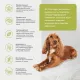 Брит Кеа Dog Adult M Healthy Skin&Shiny Coat (Лосось, индейка), 3 кг new