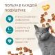 Мнямс Хрустящие подушечки для стерилизованных кошек Профилактика МКБ, 60 г