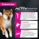 Eukanuba Adult Small & Medium Breed (Ягненок), 800 г