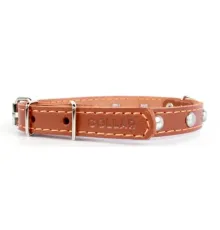 Collar одинарный с украшением LBrown, ш. 25 мм, д. 28-50 см