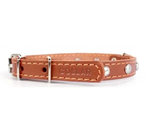 Collar одинарный с украшением LBrown, ш. 25 мм, д. 28-50 см