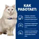 Hill's Prescription Diet c/d Multicare Urinary Stress для кошек, с рыбой, 400 г
