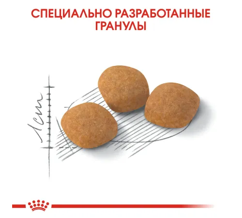 Royal Canin Protein Exigent, 400 г