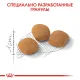 Royal Canin Protein Exigent, 400 г
