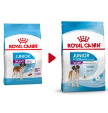 Royal Canin Giant Junior, 3,5 кг