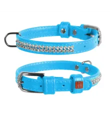 Collar Ошейник 