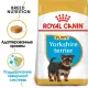 Royal Canin Yorkshire Terrier Puppy, 500 г