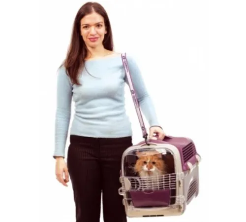 Catit Переноска для кошек и маленьких собак, 51 х 35 х 33 см