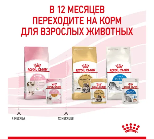 Royal Canin Kitten (желе) 85 гр