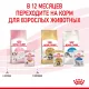 Royal Canin Kitten (желе) 85 гр