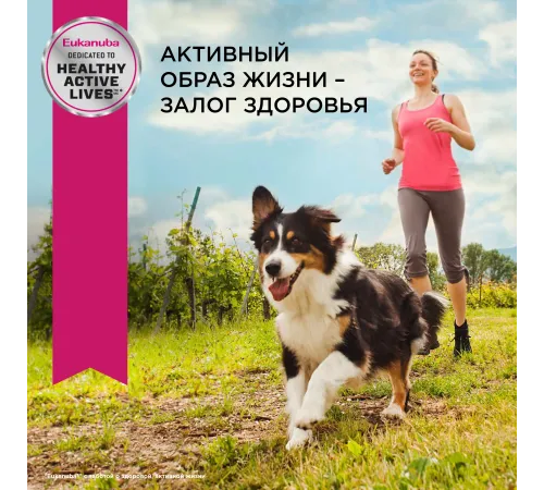 Eukanuba Adult Small Breed (Птица), 800 г