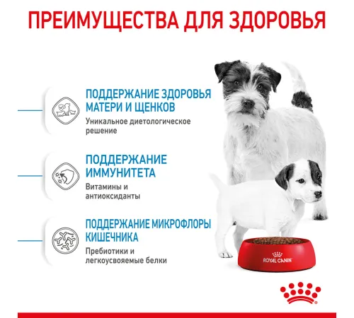 Royal Canin Mini Starter, 1 кг