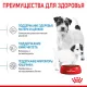 Royal Canin Mini Starter, 1 кг