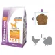 Gemon Cat Adult Complete (Курица, индейка), 2 кг