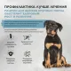 Брит Кеа Dog Puppy&Junior L Healthy Growth (Индейка, ягненок), 3 кг