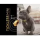 Ультразвуковой отпугиватель TickLess Pet (USB-зарядка) золотой