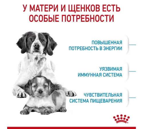 Royal Canin Medium Starter, 4 кг