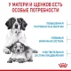 Royal Canin Medium Starter, 4 кг
