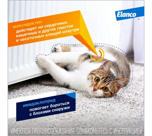 Elanco Адвокат для кошек до 4 кг, 1 пипетка