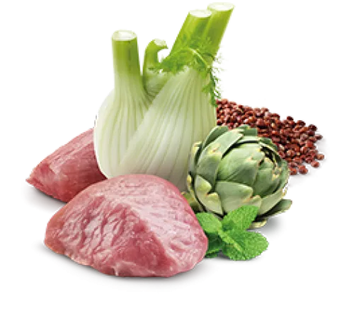 Консервы Farmina N&D Quinoa Digestion Cat (Ягненок, киноа), 80 г