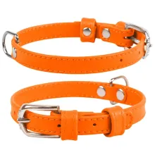 Collar Ошейник 