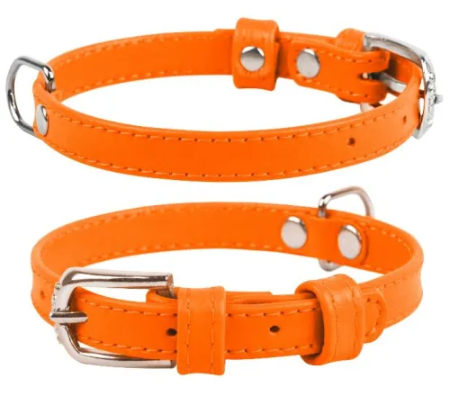 Collar Ошейник 