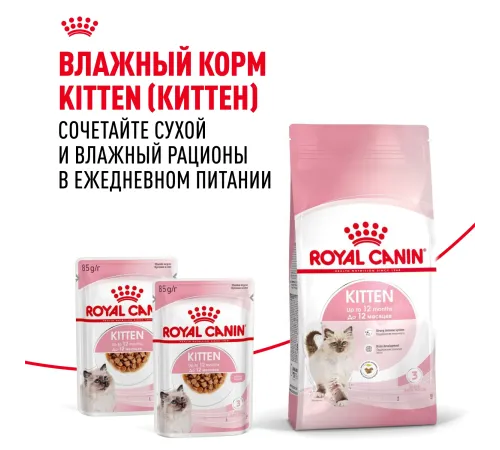 Royal Canin Kitten, 300 г