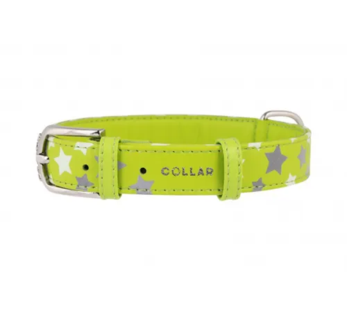 Collar Glamour Ошейник 