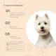 ProPhyto Спрей Itch Protect, 100 мл