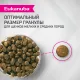 Eukanuba Puppy Small & Medium Breed (Ягненок), 800 г