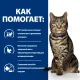 Hill's Prescription Diet Metabolic Влажный корм для кошек (Океаническая рыба), 85 г